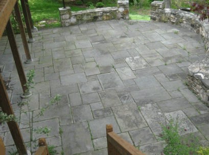 Concrete Patio With Mould And Algae Growth 1