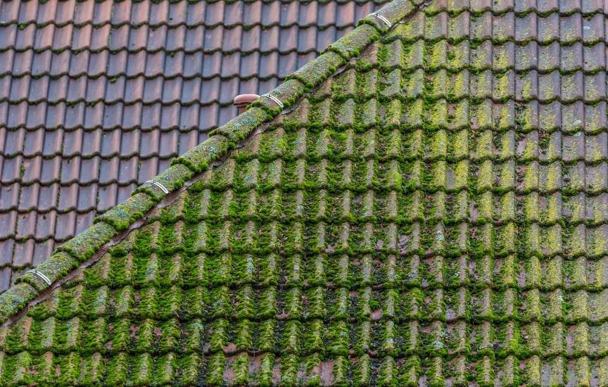 How To Clean Roof Moss