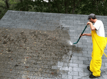 Roof Moss Removal